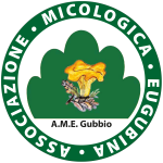 logo_ame_per_adesivo